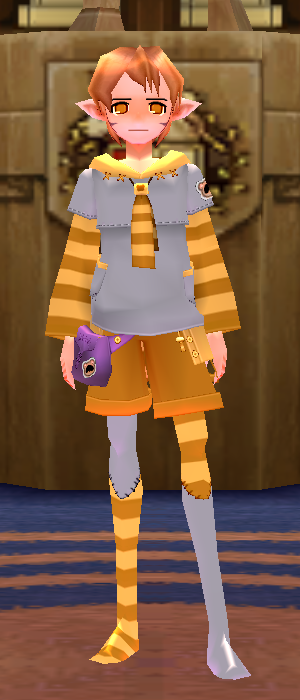 Adorable Raccoon Outfit (Male) Equipped Front.png