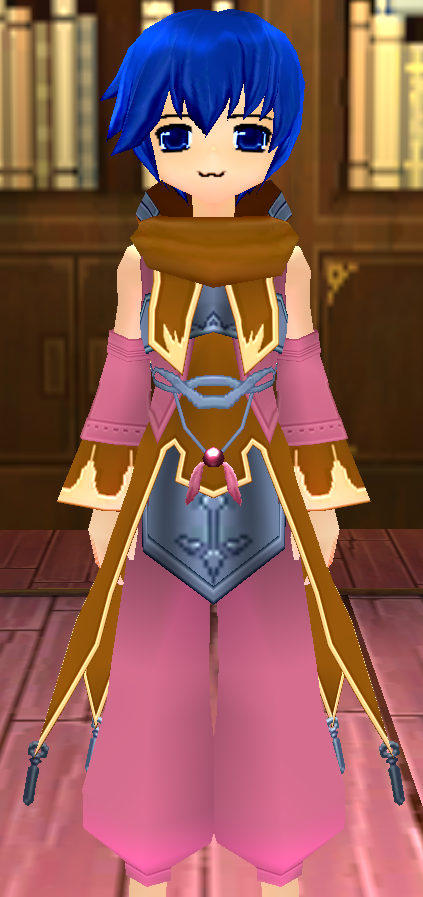 Equipped Gamyu Wizard Robe Armor (M) viewed from the front with the hood down