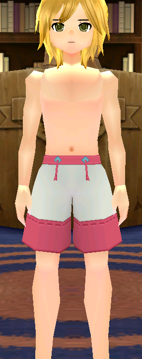 Swim Trunks (Two-Tone) (M) Equipped Front.png