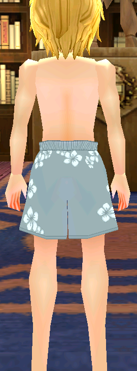 Equipped Swim Trunks (M) (Type 2) viewed from the back
