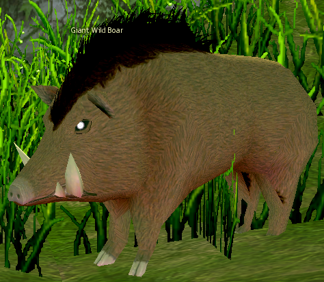 Picture of Giant Wild Boar