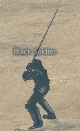 Picture of Black Soldier