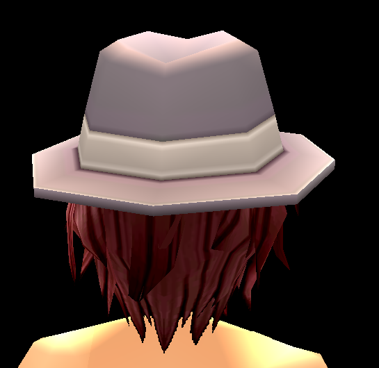 Equipped Fedora viewed from the back
