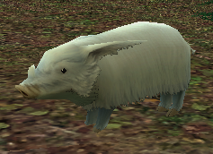 White Bush Boar.png