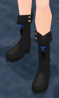 Equipped Eochaid's Shoes (M) viewed from an angle