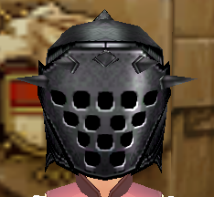 Birnam Plate Helmet Equipped Front Visor Down.png