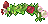 Icon of Rose Wreath (Cannot Dye)