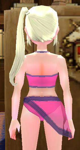 Equipped Swimsuit 4 (F) viewed from the back
