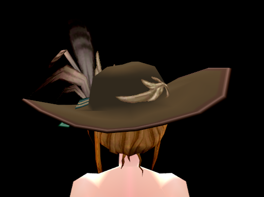Equipped Troubadour's Hat (F) viewed from the back