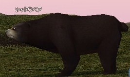 Picture of Shadow Bear