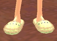 Slippers Equipped Front.png