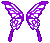 Icon of Fuschia Cutiefly Wings