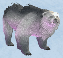 Picture of White Snowfield Bear