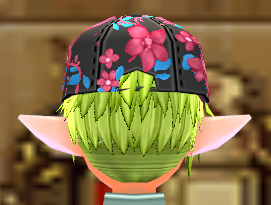 Equipped Floral Regalia Wig and Hat (M) viewed from the back