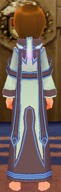 Equipped Pilgrim Robe (F) viewed from the back with the hood down