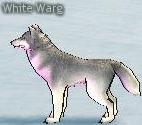 Picture of White Warg