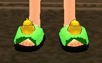 Equipped Chickie Slippers viewed from the front