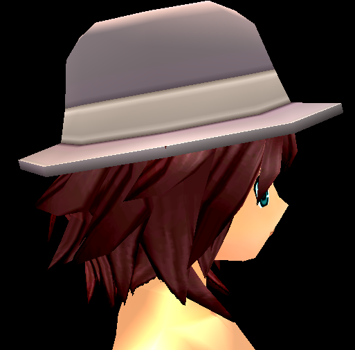 Equipped Fedora viewed from the side