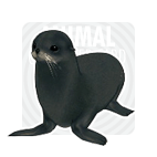 Black seal.gif