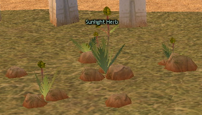 Building preview of Sunlight Herb Patch