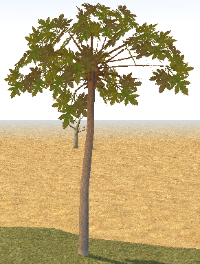 Building preview of Desert Tree 1
