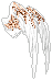 White Sacred Feather Wings.png