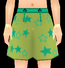 Equipped Starry Swim Trunks (M) viewed from the front