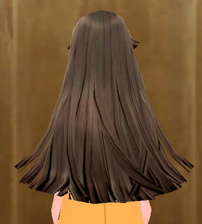 Equipped Desert Warrior Wig (F) viewed from the back