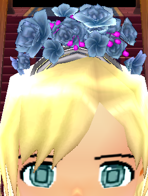 Princess Hairband Equipped Front.png