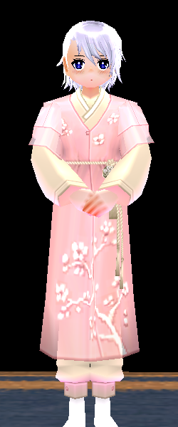 Equipped Elegant Hanbok Costume (M) viewed from the front