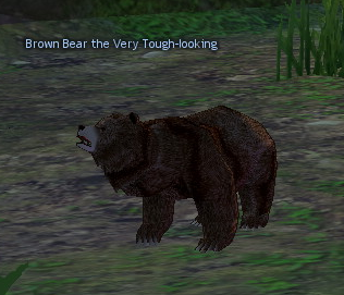Picture of Brown Bear (Mini)
