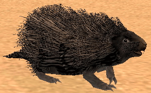 Picture of Black Porcupine