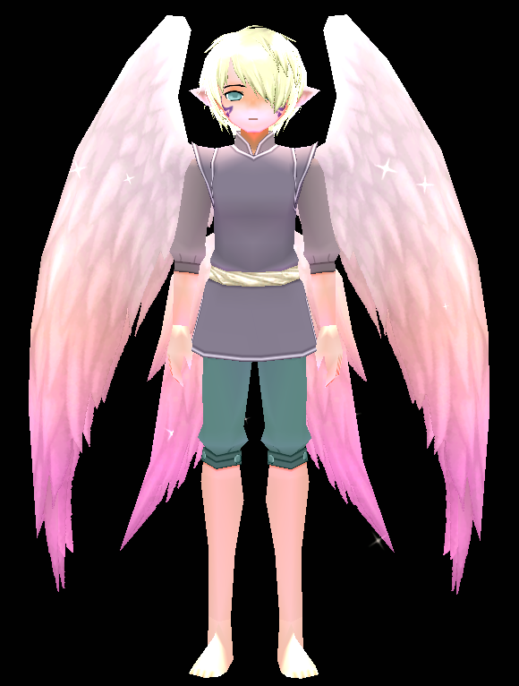 Grandmaster Wings Equipped Front.png