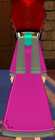 Equipped Edekai's Priest Robe (F) viewed from the back