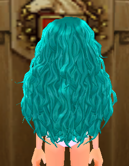 Equipped Laighlinne Wig viewed from the back