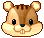 Squirrel Mascot Head