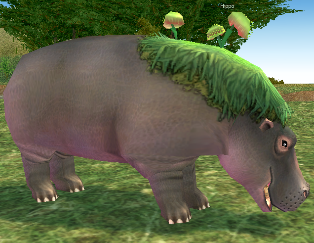 Picture of Hippo (NPC)