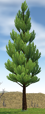 Building preview of Japanese Cedar Tree (Homestead)