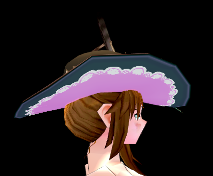 Equipped Troubadour's Hat (F) viewed from the side