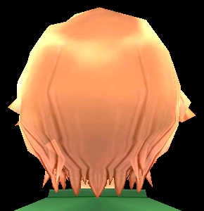 Equipped Hamlet's Scarred Wig viewed from the back
