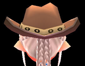 Equipped Cowboy Hat viewed from the back