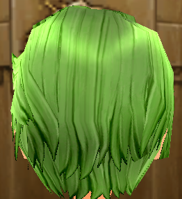 Equipped Lugh's Wig viewed from the back