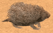 Picture of Brown Porcupine
