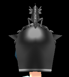 Equipped Dragon Crest viewed from the back with the visor up