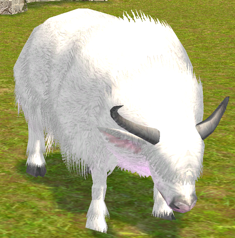 Picture of Yak