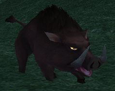 Picture of Possessed Boar