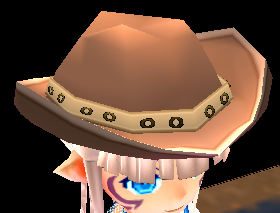 Equipped Cowboy Hat viewed from an angle