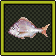 Red Sea Bream Journal.png
