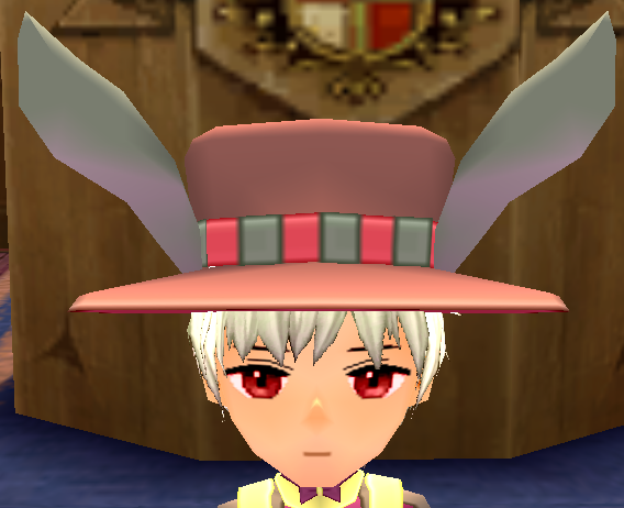 Rhetoi's Rabbit Hat (M) Equipped Front.png