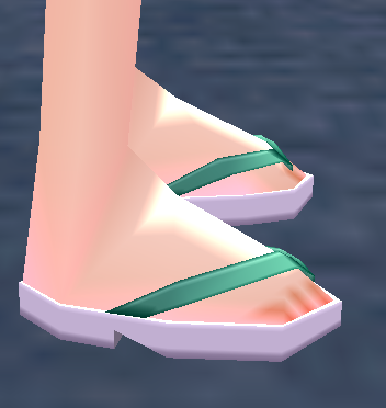 Equipped Japanese Sandals viewed from the side
